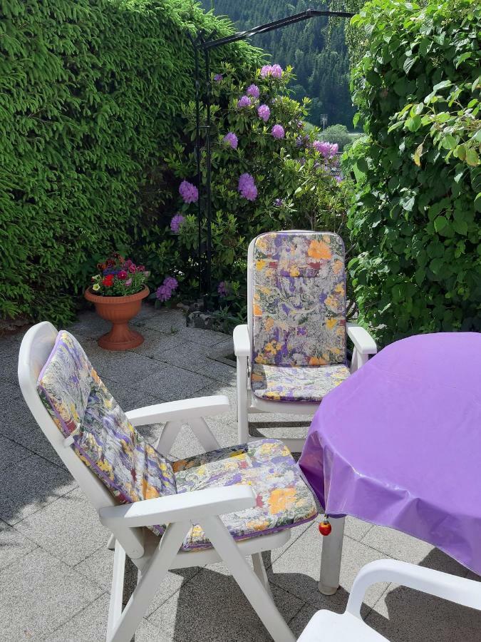 Ferienwohnung Viktoria Lenzkirch Luaran gambar